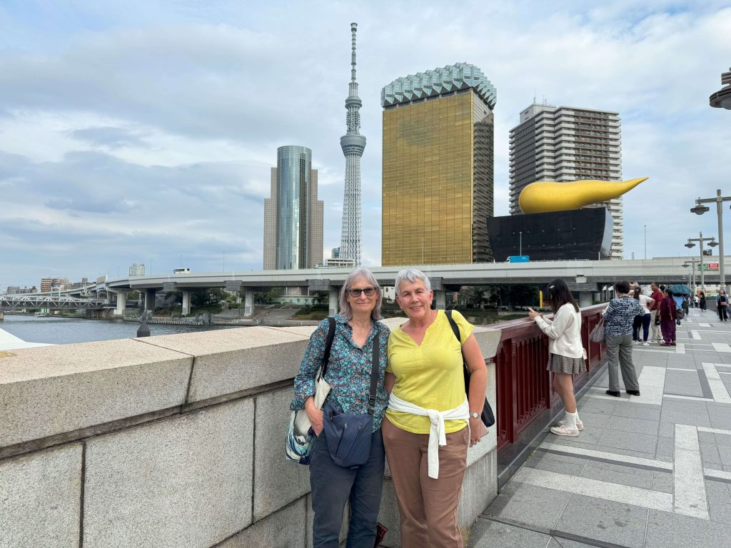 Tokyo in One Day: Meiji Shrine & Asakusa (Skytree photos)