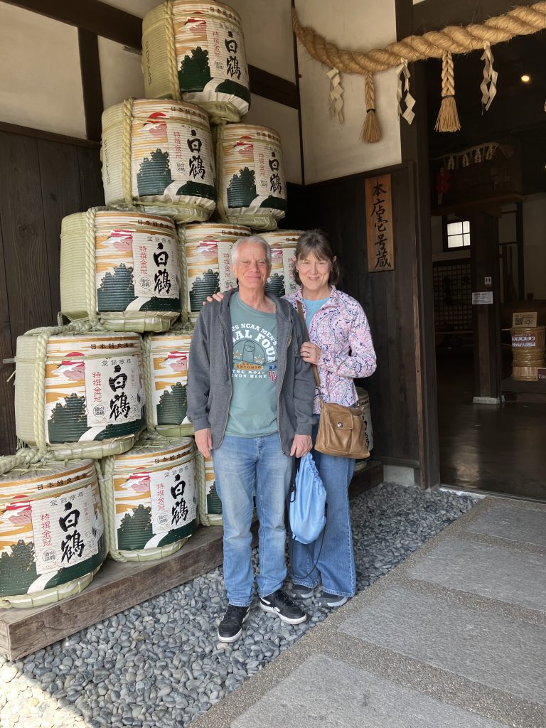 Hyogo in One Day: Kobe Port Terminal & Nankinmachi (Chinatown)