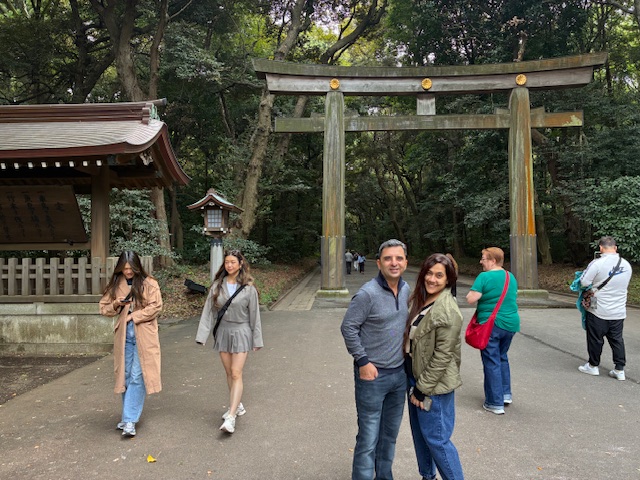 Tokyo in One Day: Meiji Shrine & Akihabara