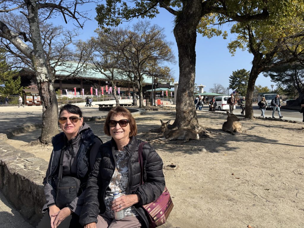 Hiroshima in One Day: Travel to Miyajima & Travel to Itsukaichi