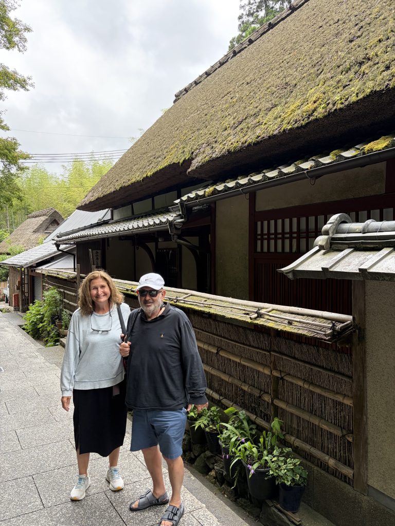 Arashiyama Bamboo Forest & Sagano Tour