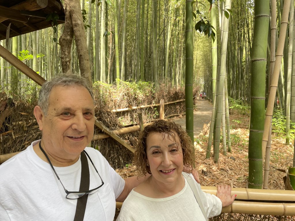 Kyoto Customized Private Tour in 1 Day