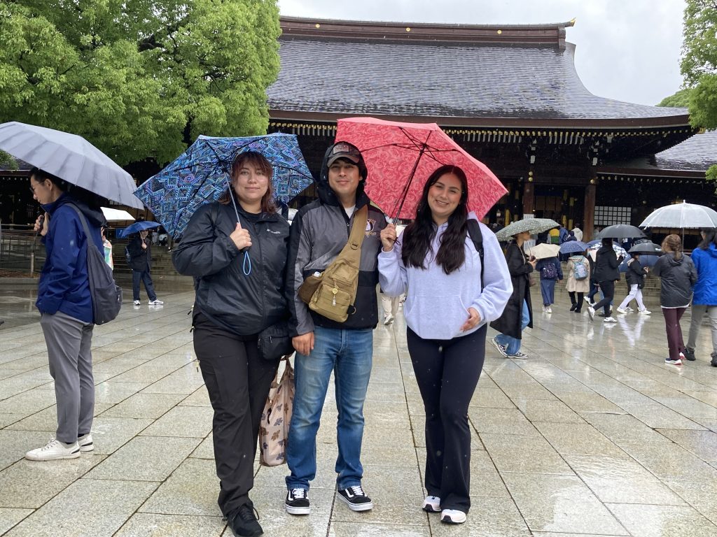 Tokyo Customized Half-Day Tour