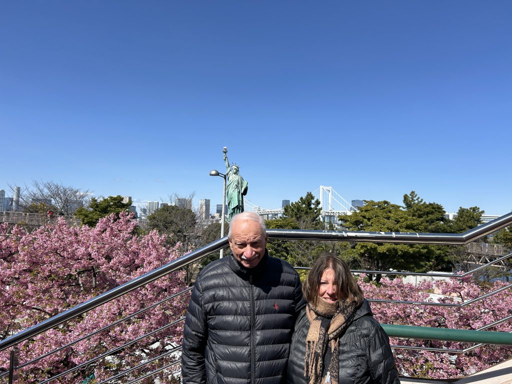 Tokyo Customized Private Tour in 1 Day