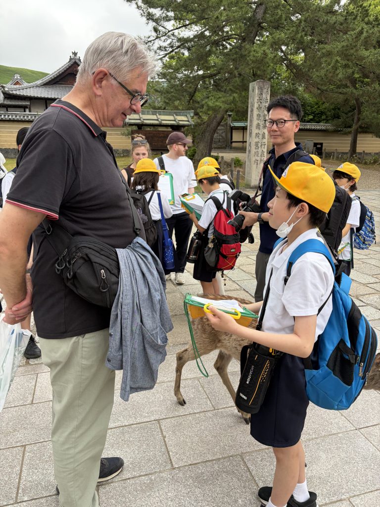 Nara Customized Private Tour in 1 Day