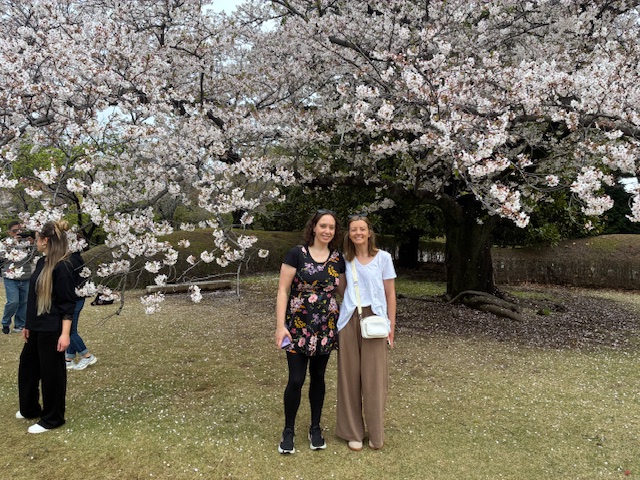 Tokyo in One Day: Chidorigafuchi & Odaiba
