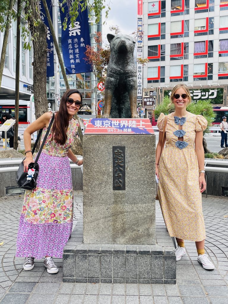 Tokyo Customized Half-Day Tour