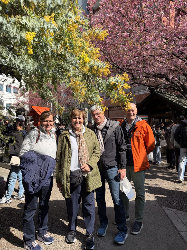 Tokyo in One Day: Meiji Shrine & Ginza