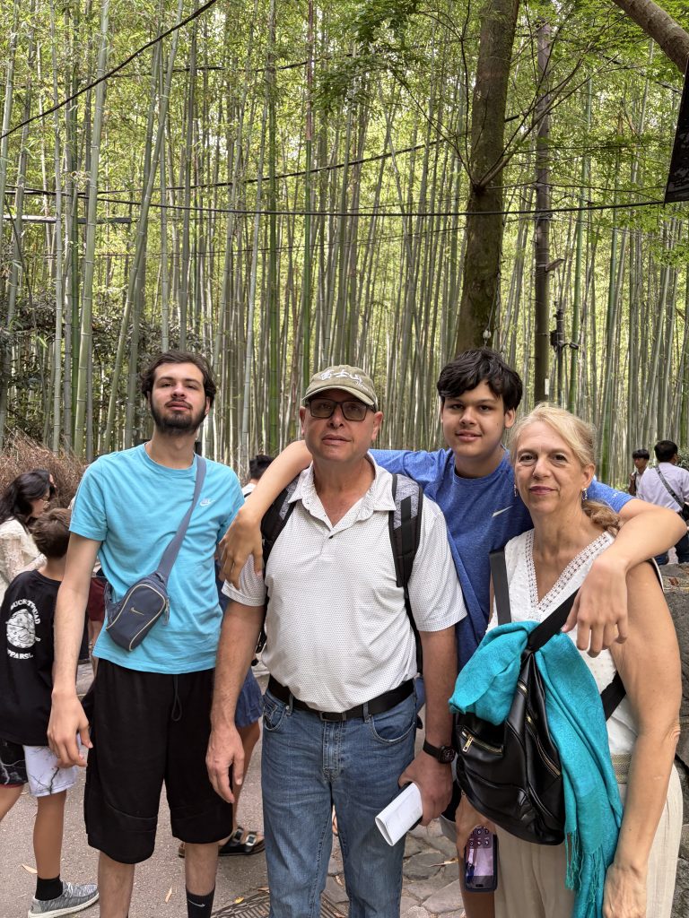 Kyoto in 1 Day from Osaka: Private Car Tour