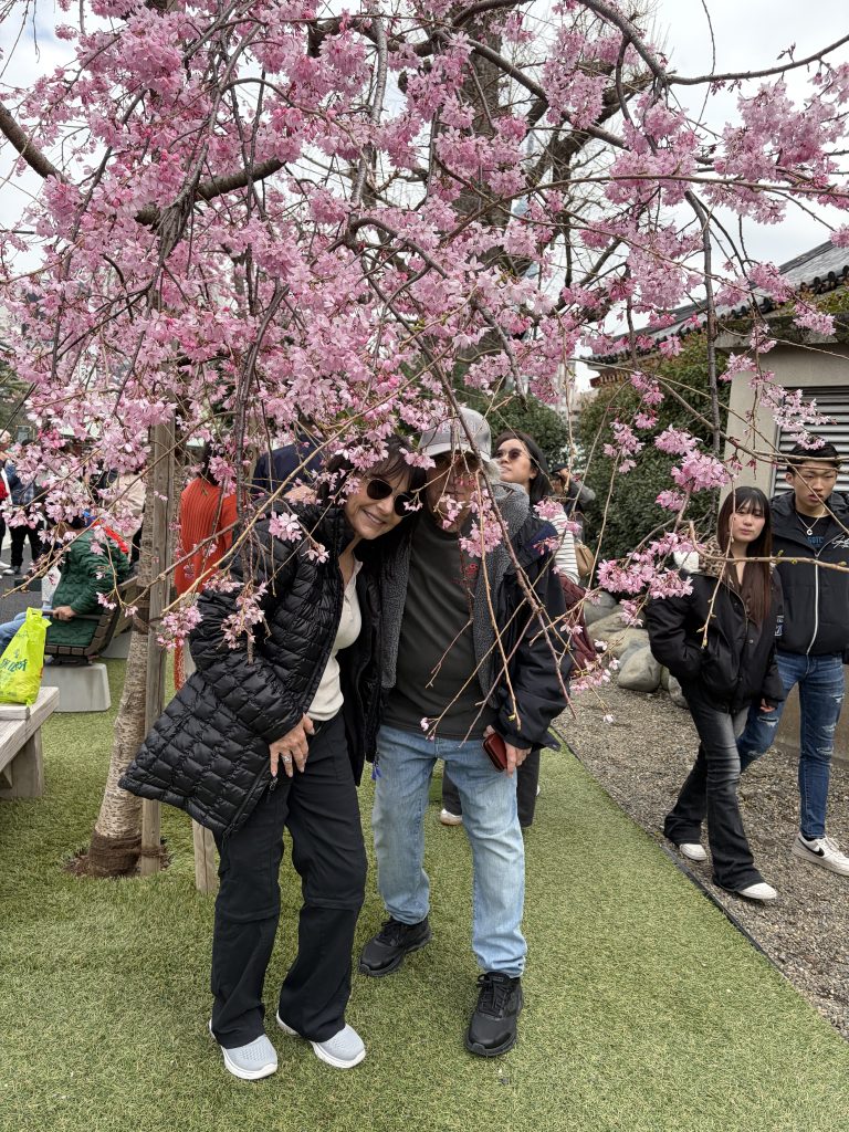 Tokyo Customized Private Tour in 1 Day