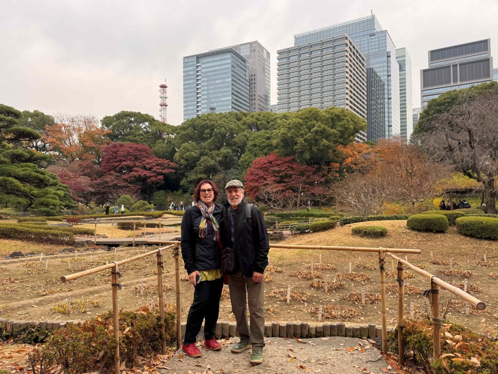 Tokyo in Half a Day: Imperial Palace East Gardens & Shinjuku Gyoen