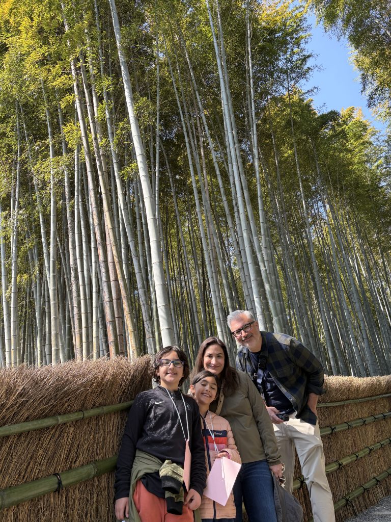 Kyoto in Half a Day: Togetsukyo Bridge	Photos