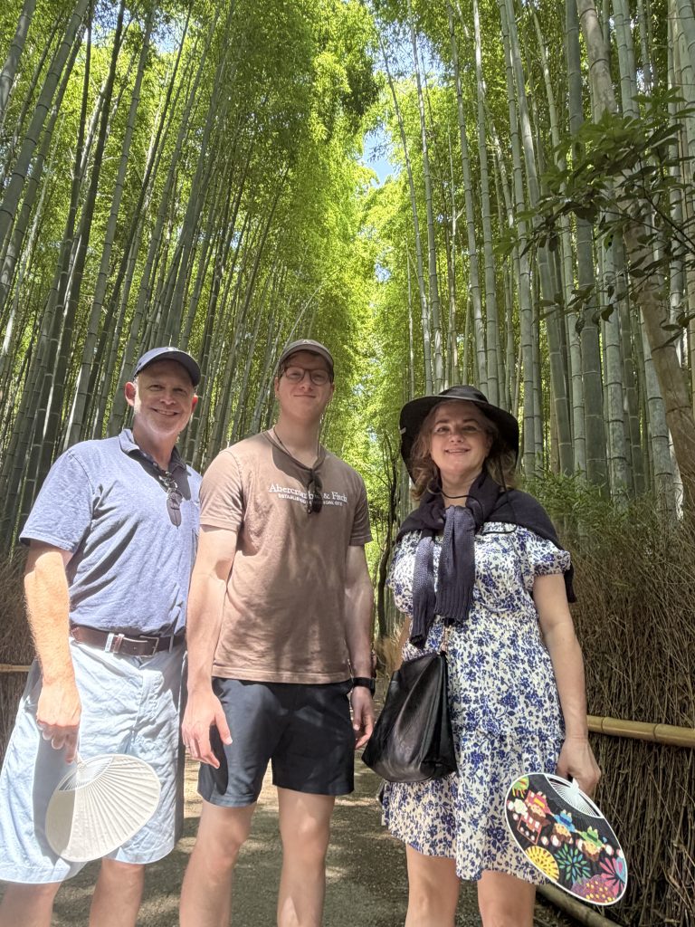 Kyoto Customized Private Tour by Car