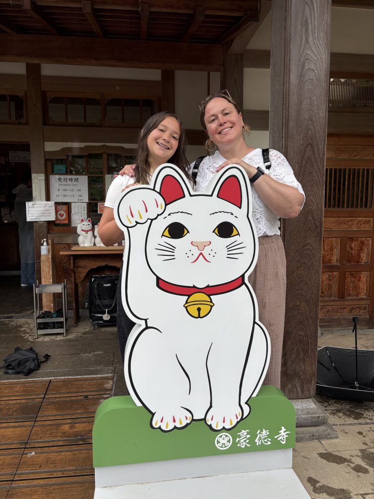 Tokyo Customized Private Tour in 1 Day