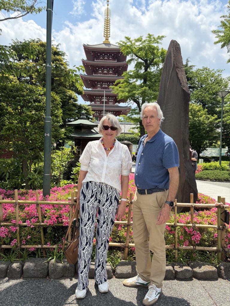 Tokyo in Half a Day: Asakusa & Meiji Shrine