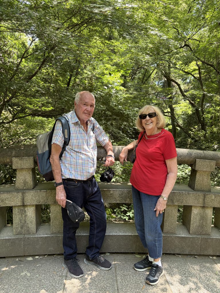 Tokyo in One Day: Meiji Shrine & Shibuya Crossing