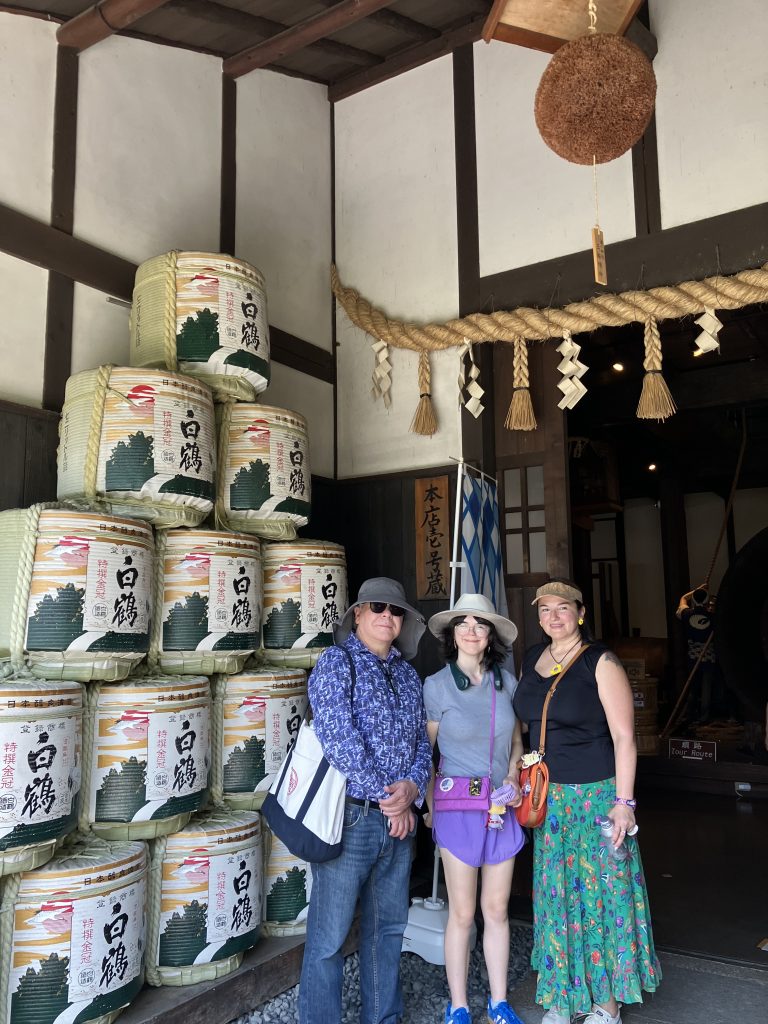 Hyogo in Half a Day: Kitano Ijinkan Street & Harborland