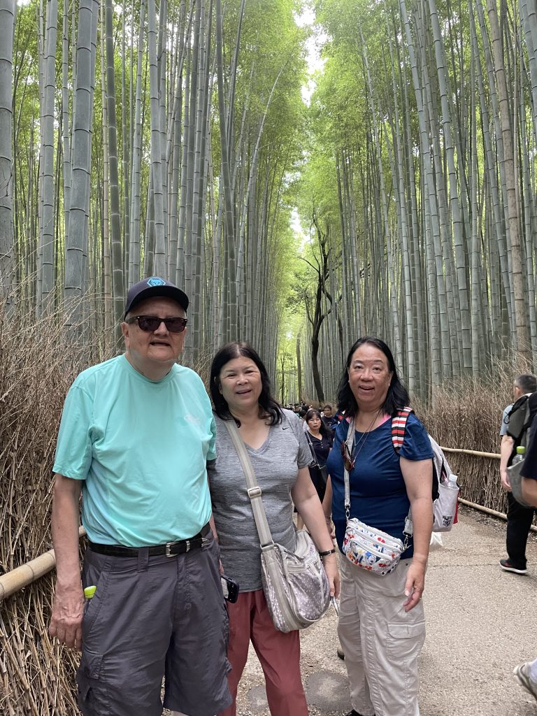 Kyoto in 1 Day from Osaka: Customized Tour