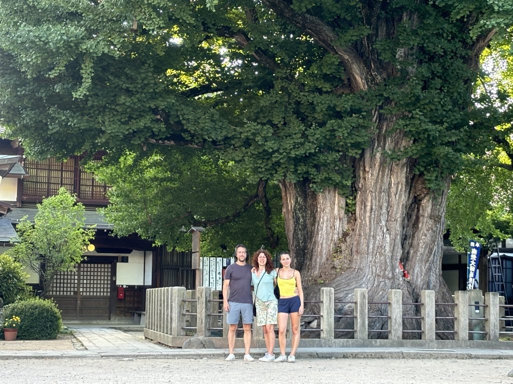 Takayama Customized Half-Day Tour