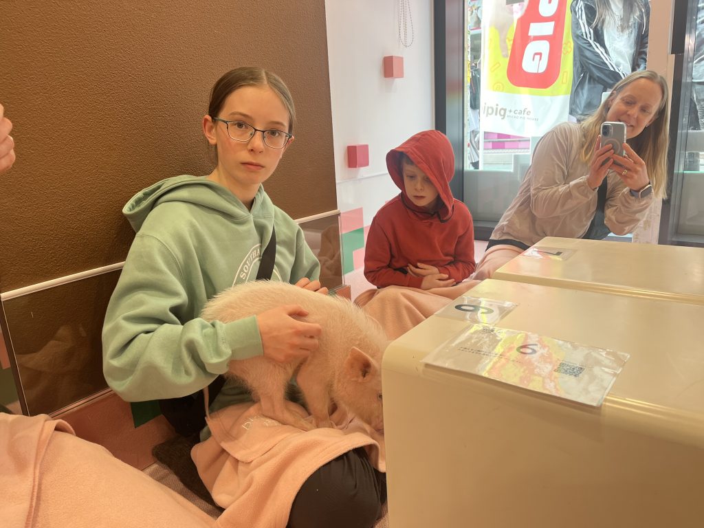 Tokyo in Half a Day: Meiji Shrine & Kiddy Land