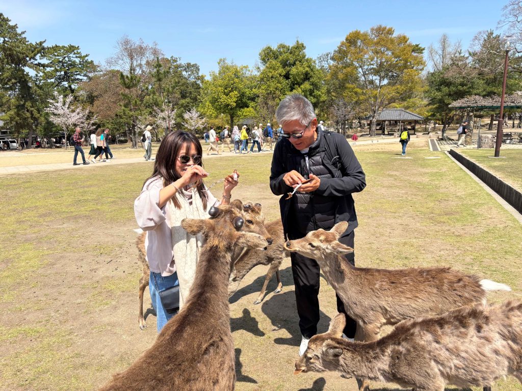 Nara Day Trip from Osaka: Customized Tour