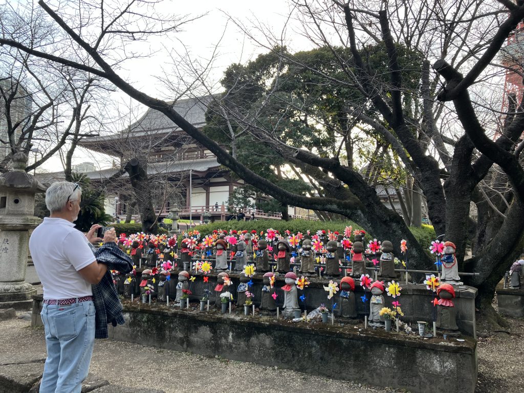 Tokyo: Meiji Shrine & Zojoji Temple