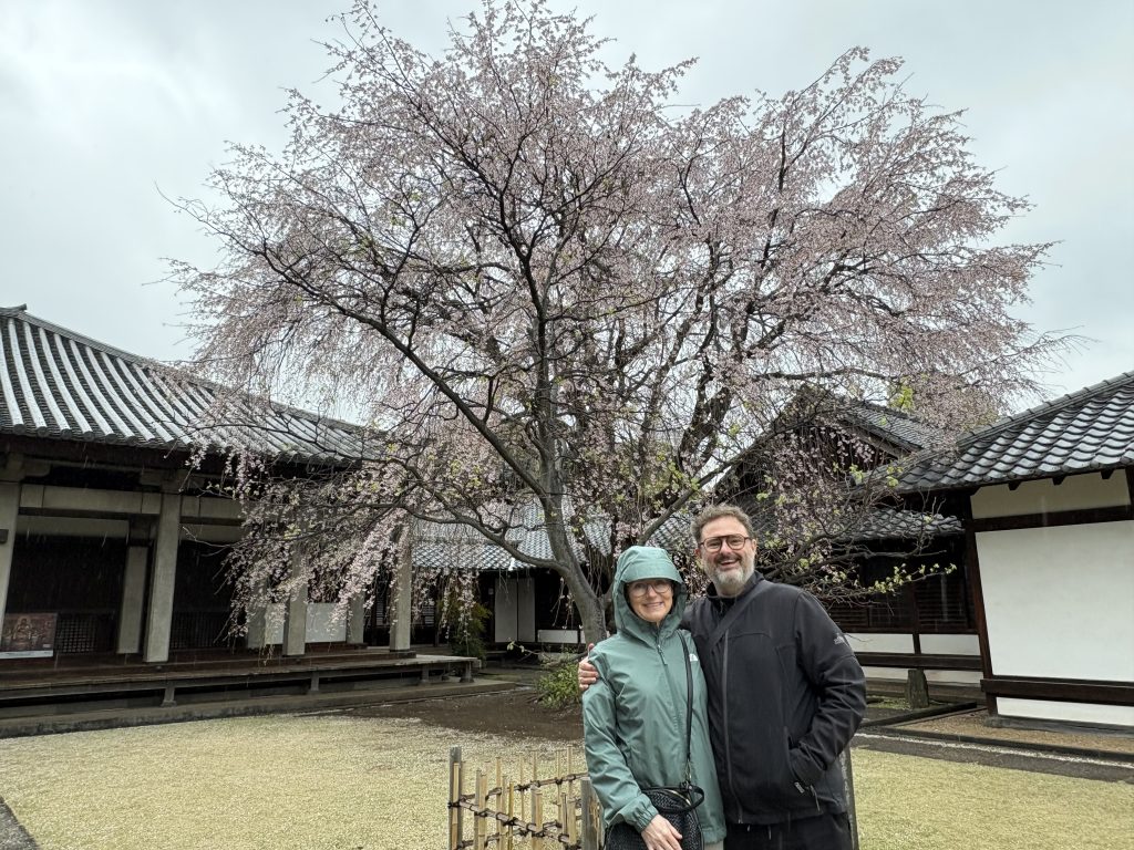 Tokyo Customized Half-Day Tour