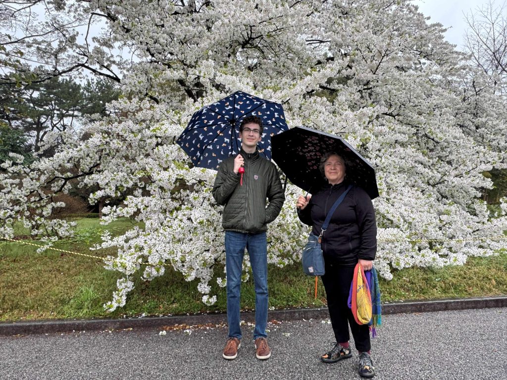 Tokyo in One Day: Meiji Shrine & Asakusa