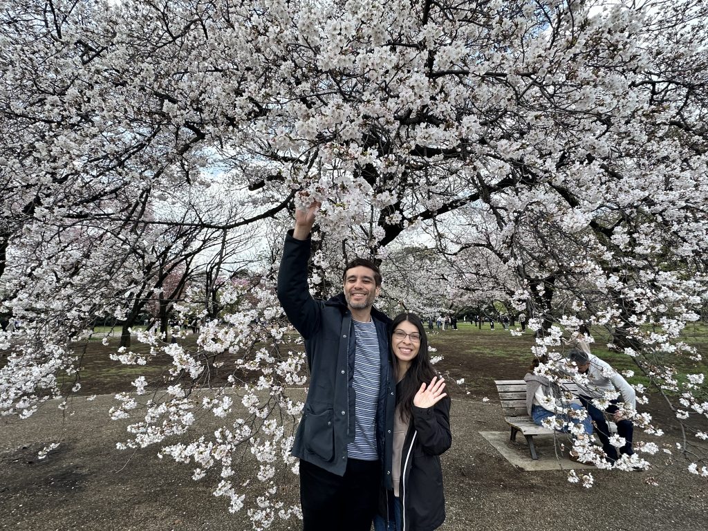 Tokyo in One Day: Shinjuku Gyoen & Asakusa
