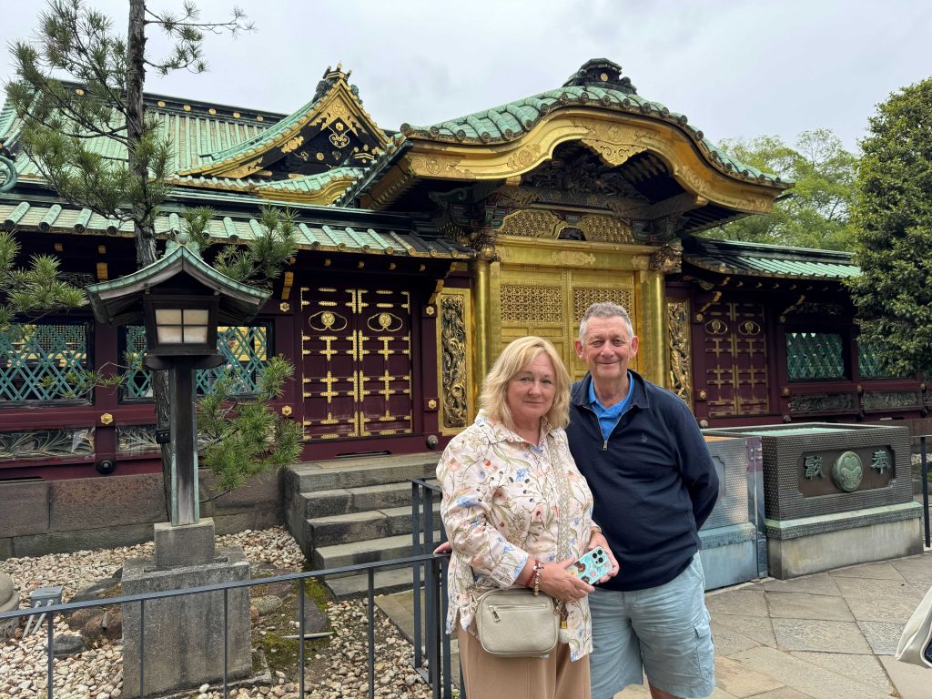 Tokyo Tour by Car & Narita Drop-Off