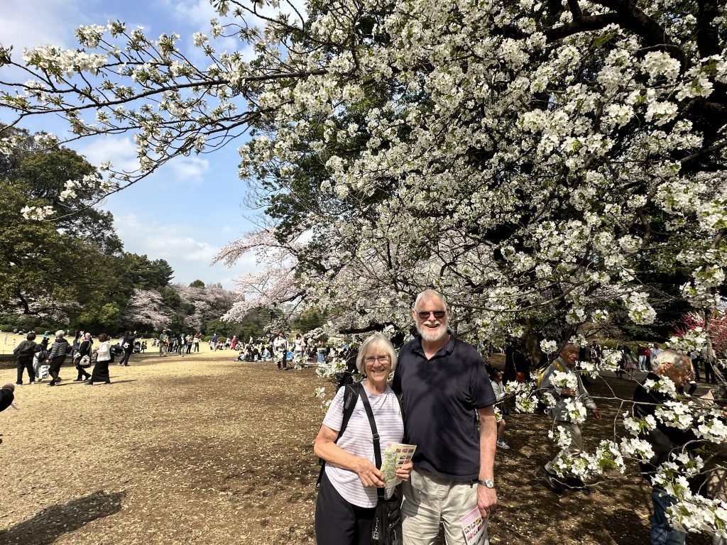 Tokyo in Half a Day: Shinjuku Gyoen & Ginza