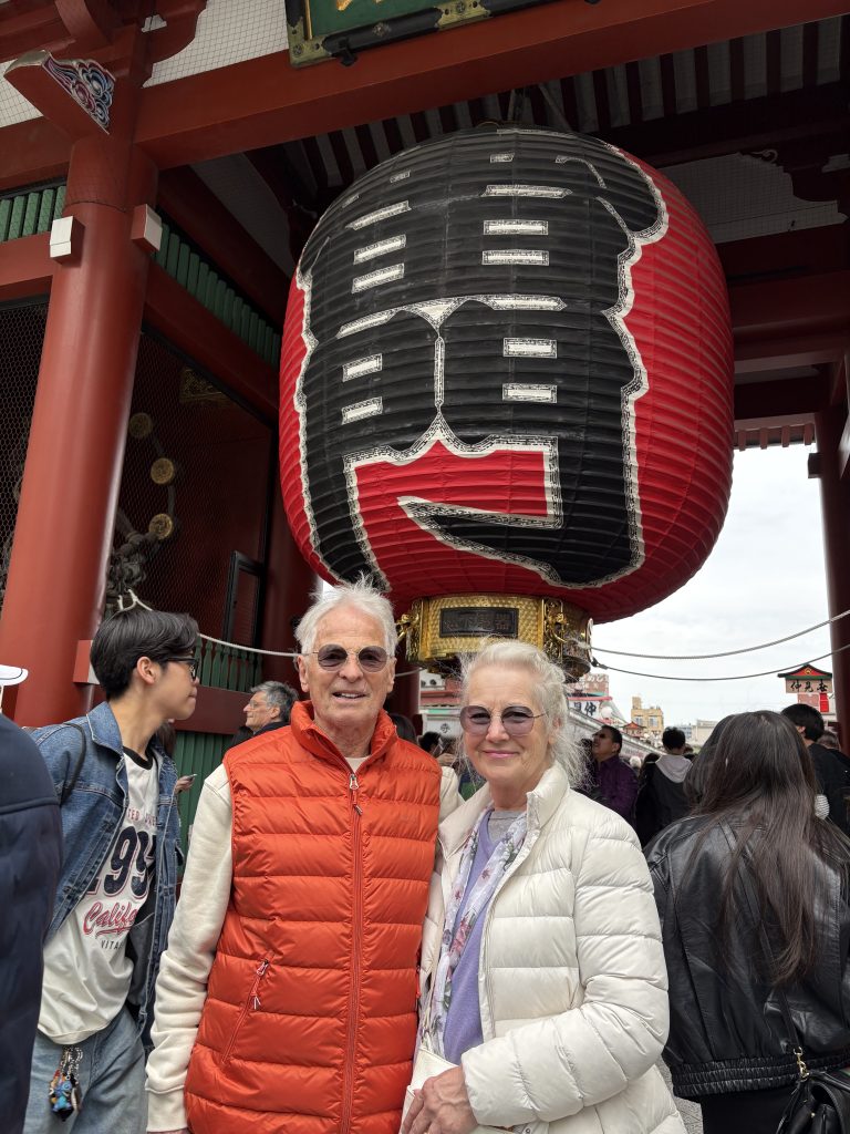 Tokyo Customized Private Tour in 1 Day