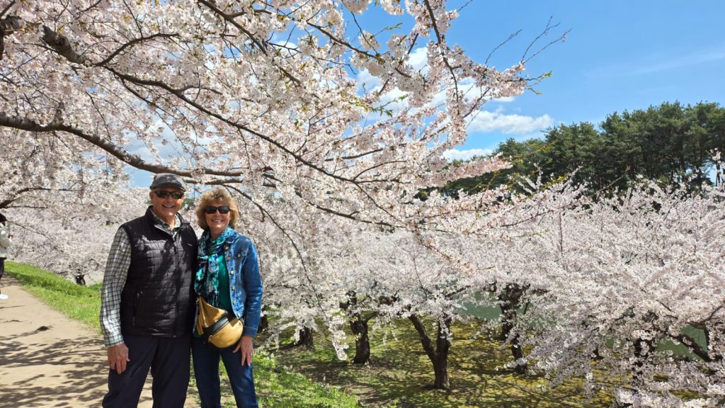 Hokkaido in One Day: Goryokaku Park & back at port