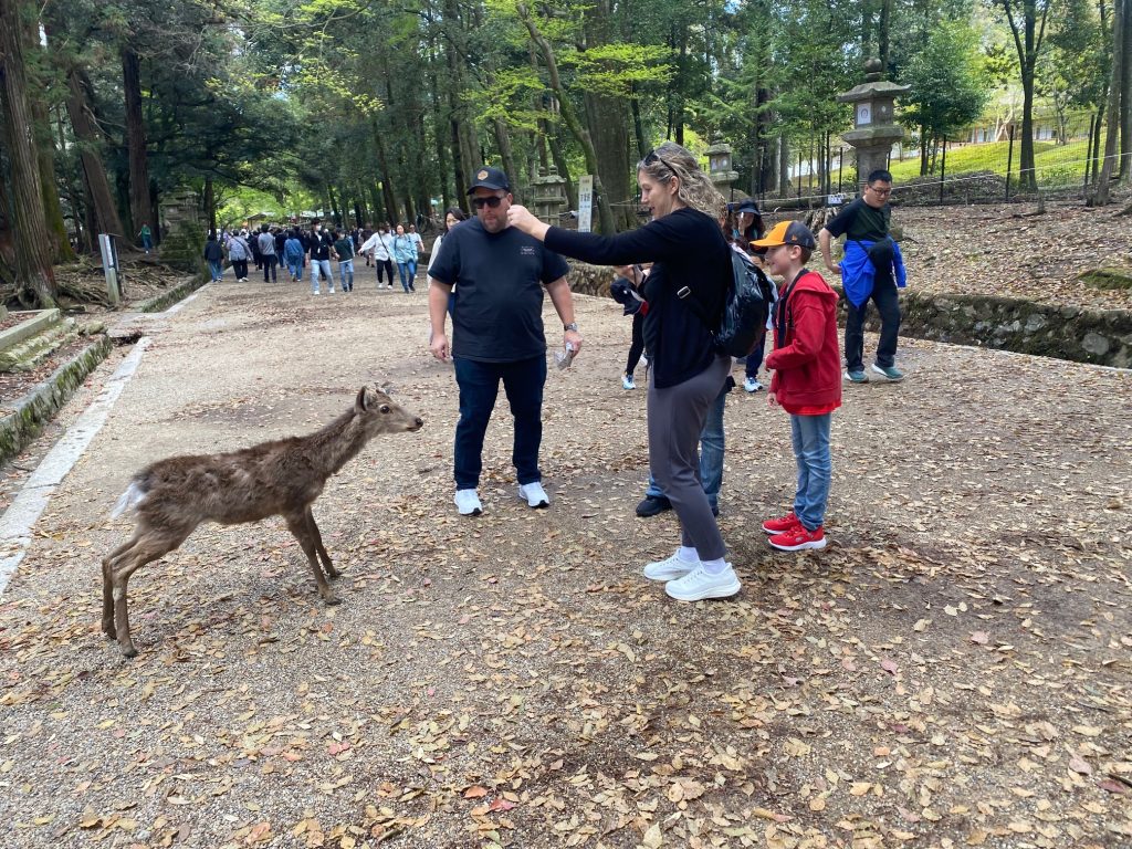 Nara Day Trip from Kyoto: Customized Tour