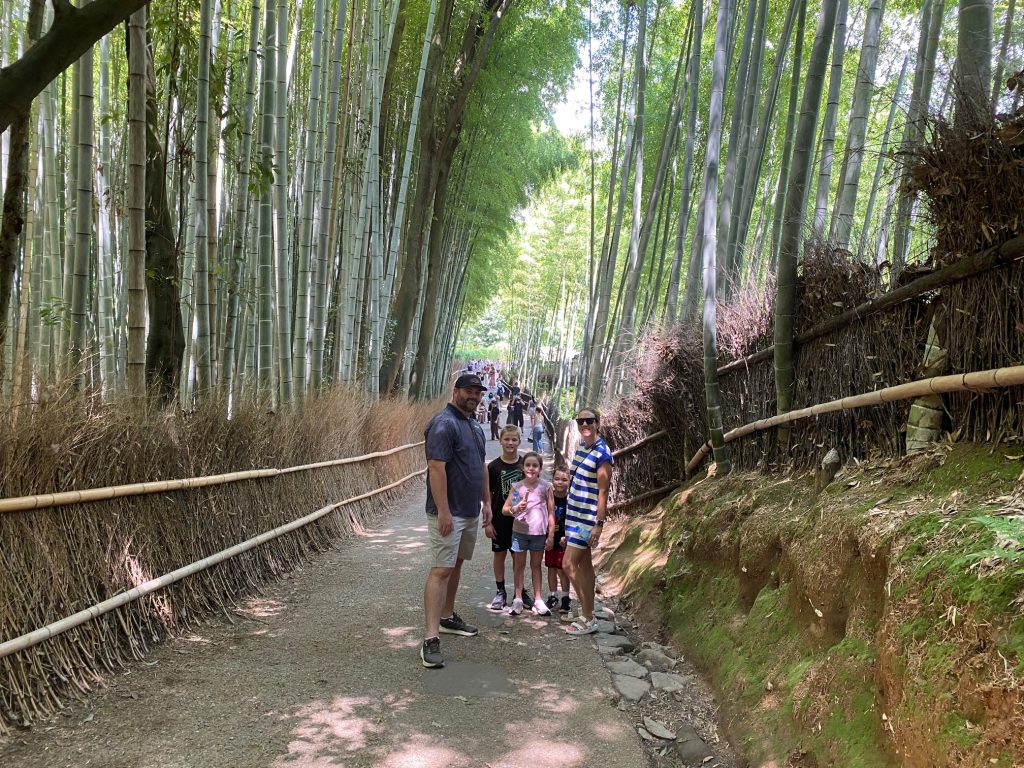 Kyoto Customized Private Tour by Car