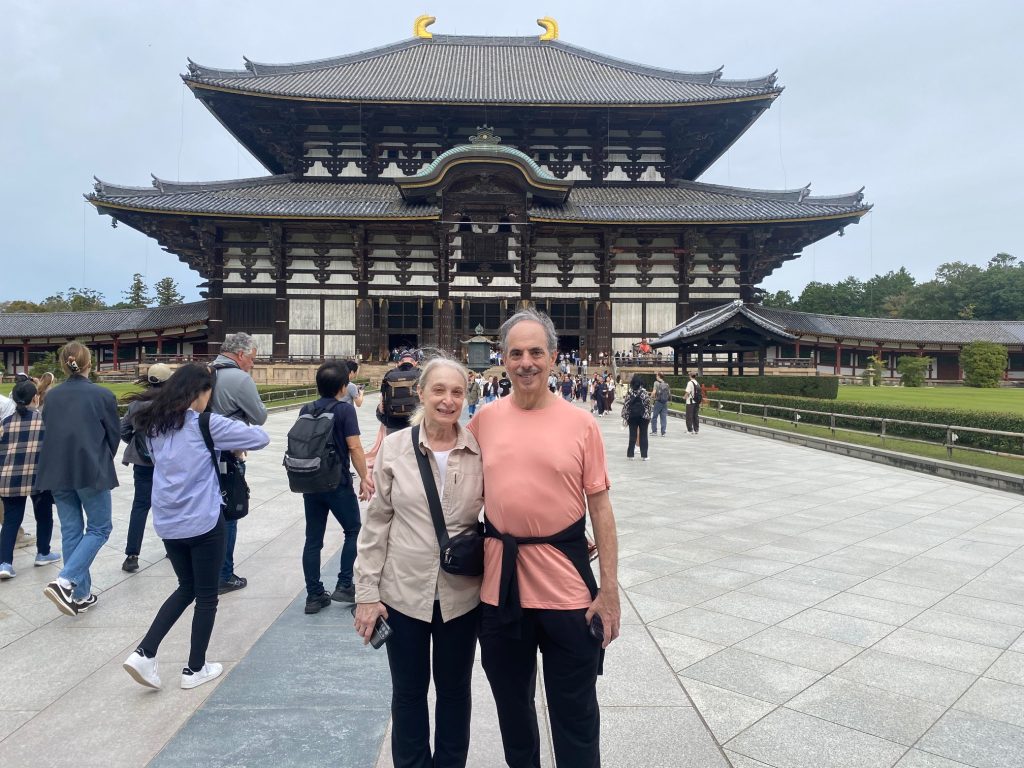 Nara Day Trip from Kyoto by Private Car
