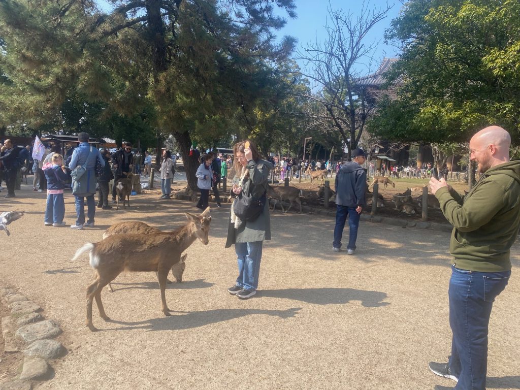 Kyoto: Tour Horyuji Temple & Disband @ JR Nara Station