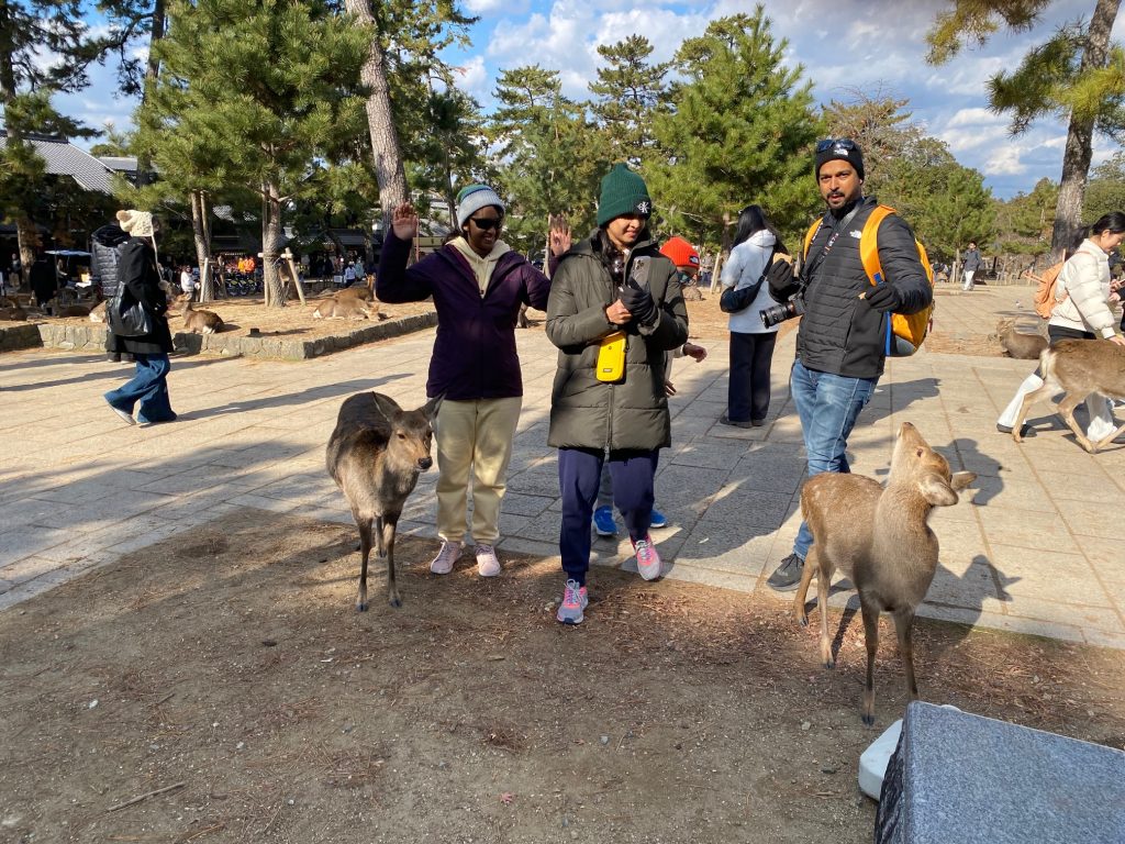 Nara Day Trip from Kyoto: Customized Tour