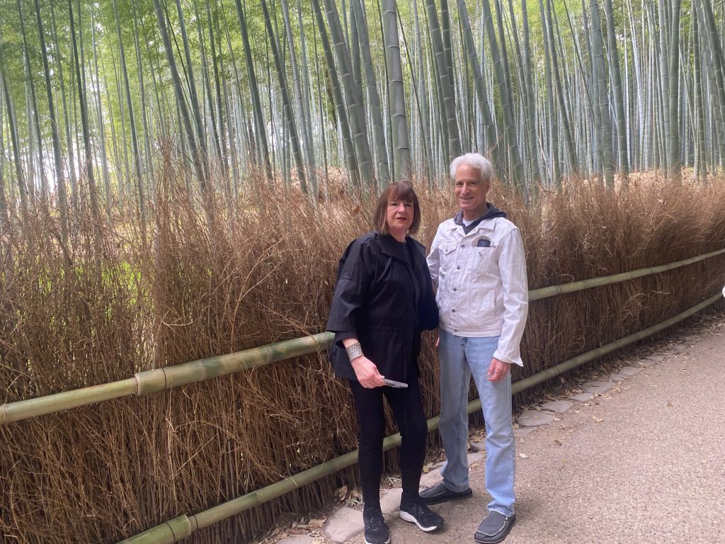 Kyoto in One Day: Tour the bamboo grove & Disband at Kyoto Station