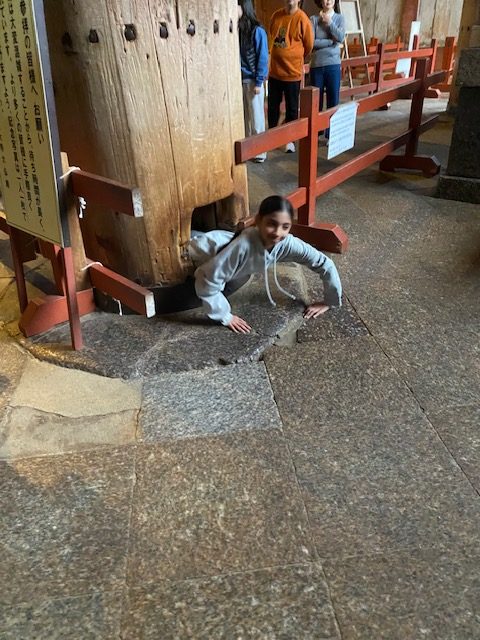 Nara in One Day: Nara Park & Guided tour of Nigatsu-do Hall