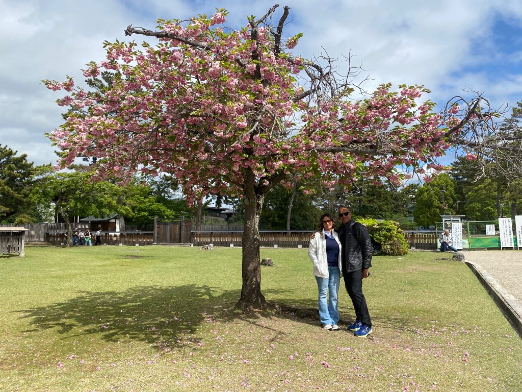 Nara in One Day: Tour of Kofukuji & Tour of Kasuga Taisha