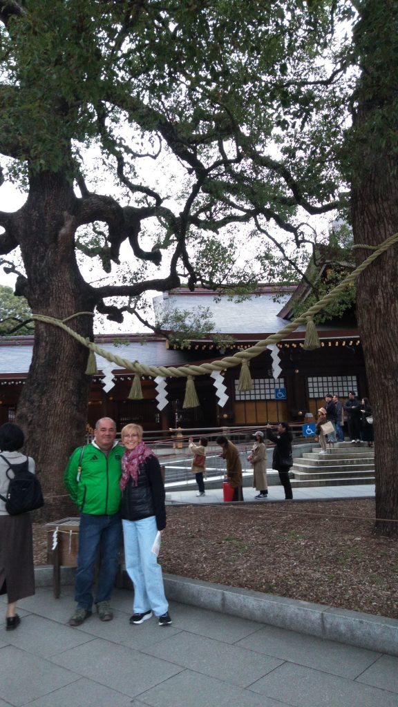 Tokyo Customized Private Tour in 1 Day