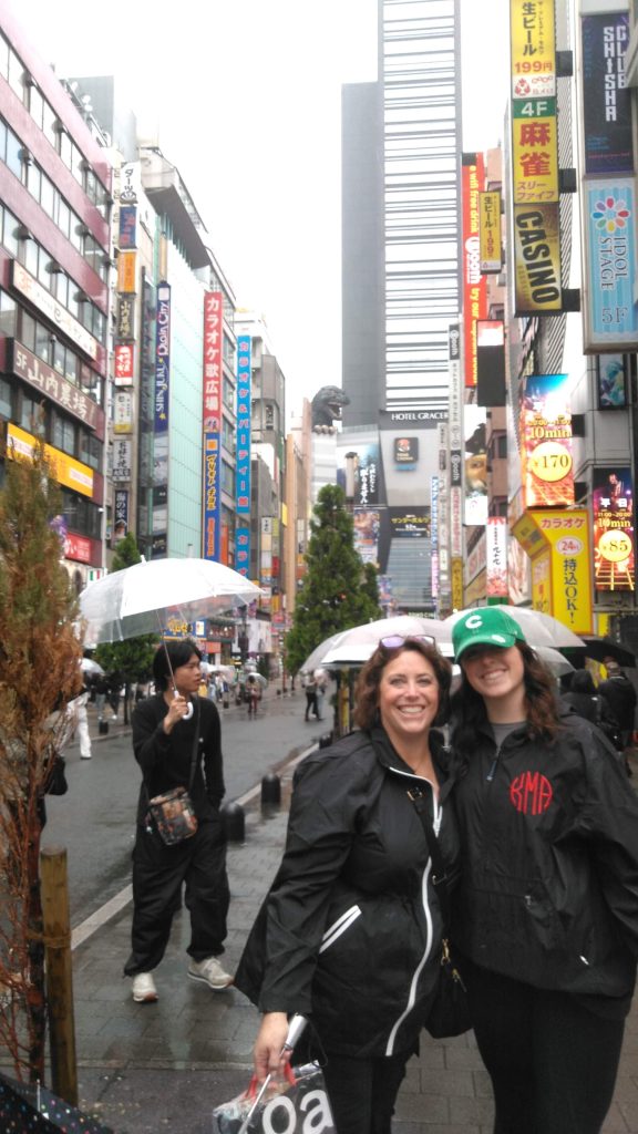 Tokyo Customized Private Tour in 1 Day