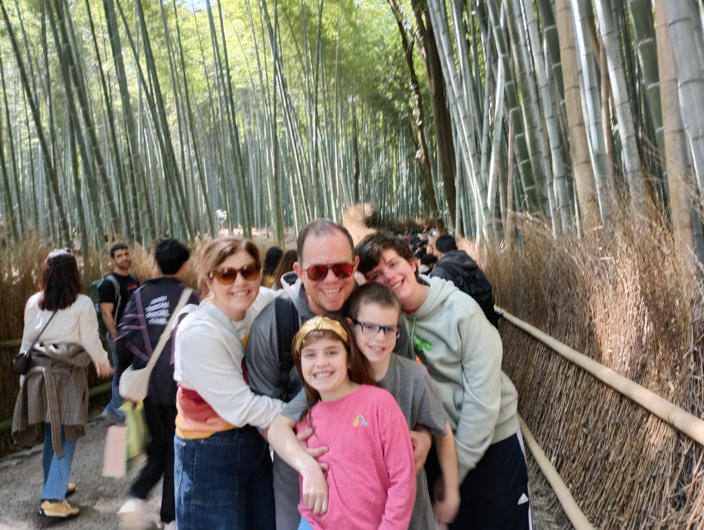 Kyoto Customized Private Tour by Car