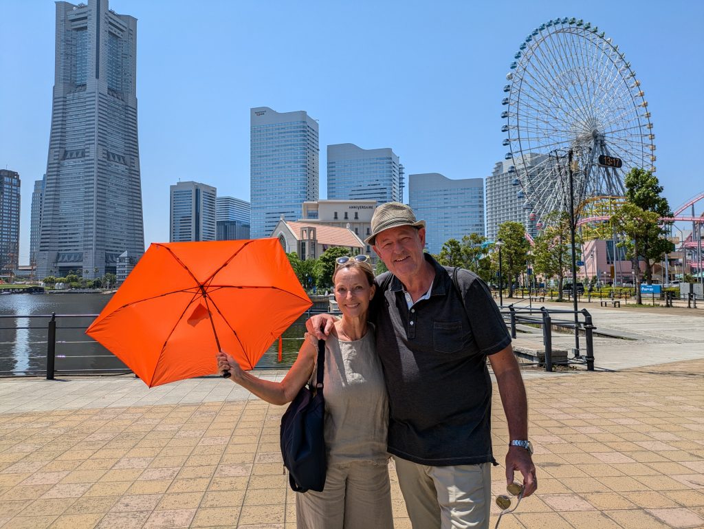Tokyo Customized Private Tour in 1 Day