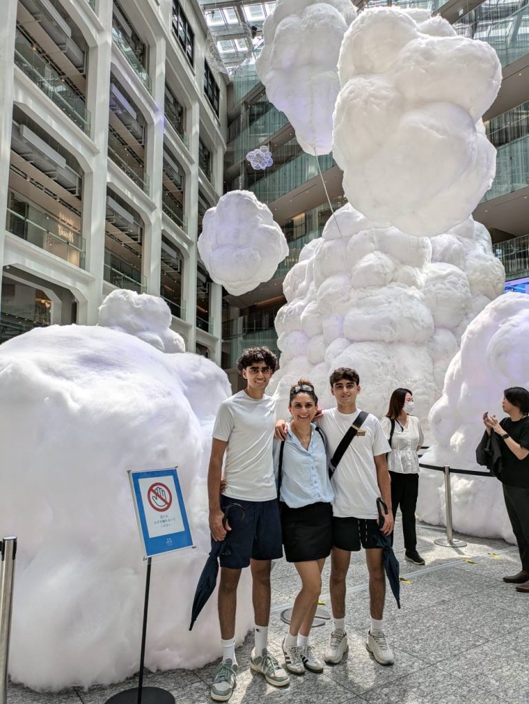 Tokyo Customized Half-Day Tour