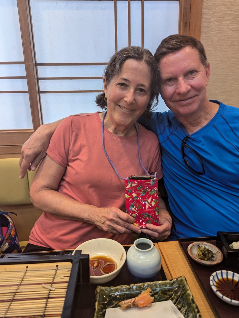 Tokyo in One Day: Asakusa & Shinjuku Gyoen