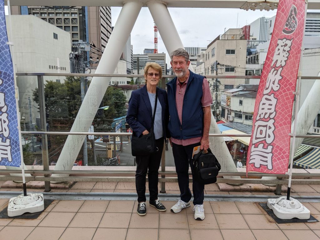 Tokyo Customized Private Tour in 1 Day