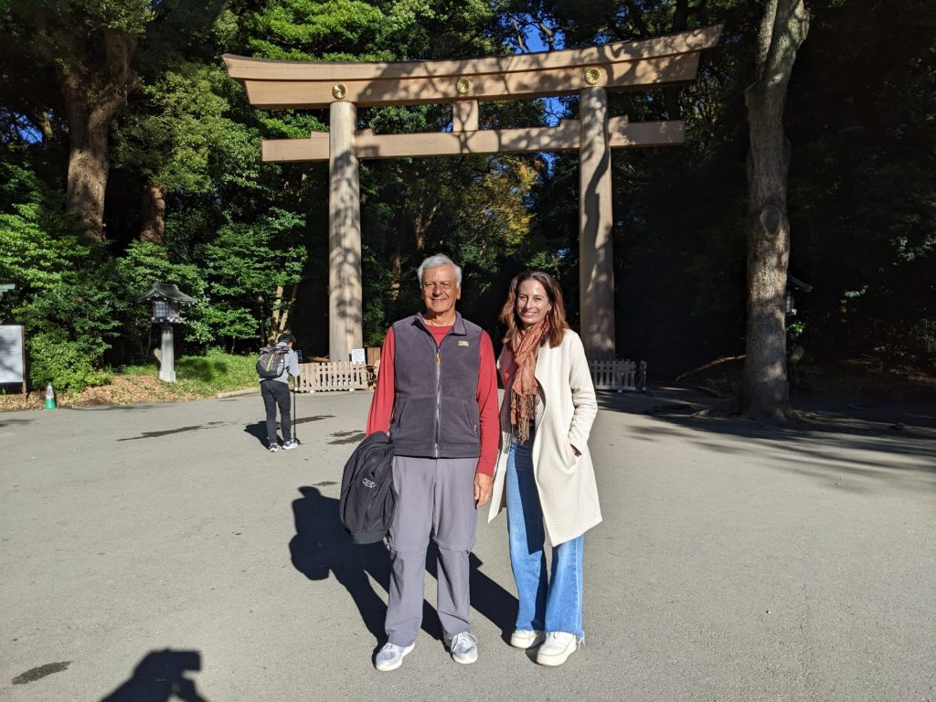 Tokyo in One Day: Meiji Jingu Shrine & Shinjuku Gyoen National Garden
