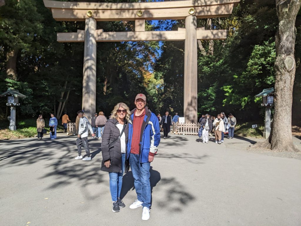 Tokyo in One Day: Meiji Shrine & Shinjuku Gyoen